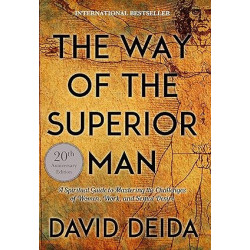 The Way of the Superior Man: A Spiritual Guide to Mastering the Challenges of Women, Work, and Sexual Desire